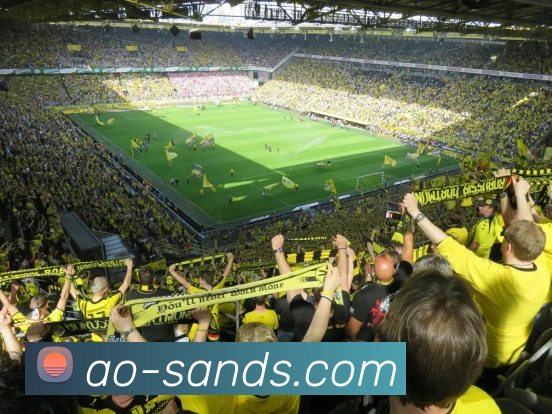 App Interface Preview